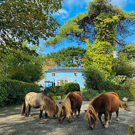 Bay View Cottage セント・オーステル エクステリア 写真