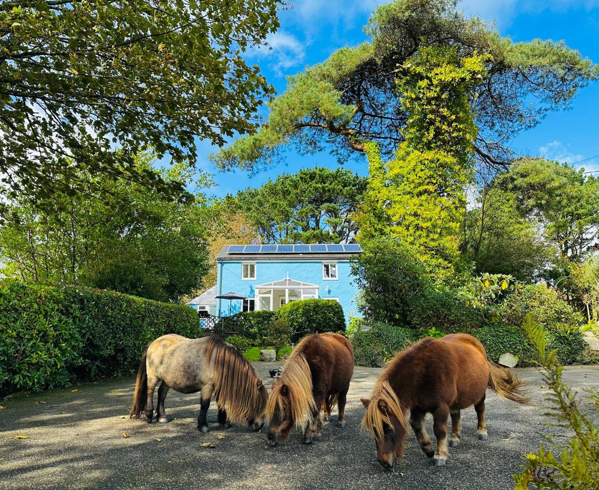 Bay View Cottage セント・オーステル エクステリア 写真